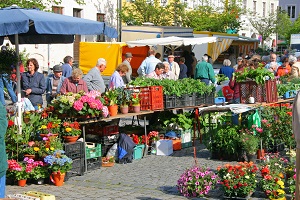 Der Wochenmarkt in Schrobenhausen